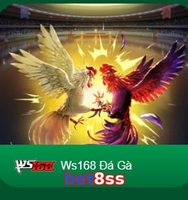 bet8ss